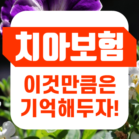  무진단형치아보험 알아볼 때 이것만 기억해두자!