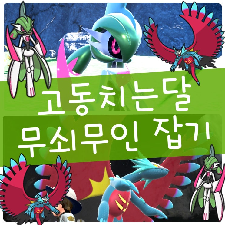  포켓몬스터 스칼렛 바이올렛 고동치는달 고대 보만다 무쇠무인 잡는곳