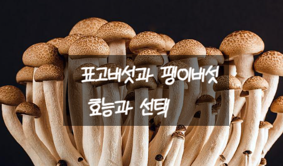  표고버섯과 팽이버섯의 효능과 선택