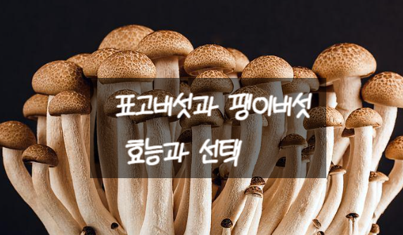 표고버섯과 팽이버섯의 효능과 선택