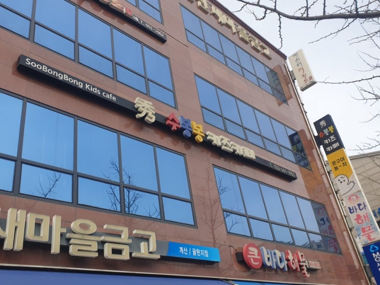  수봉봉키즈까페 귤현동 키카  아이들 취향저격 제대로 내돈내산 주말나들이