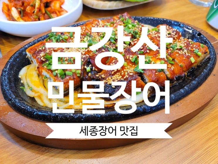 세종장어맛집 금강산민물장어 장군면맛집 추천