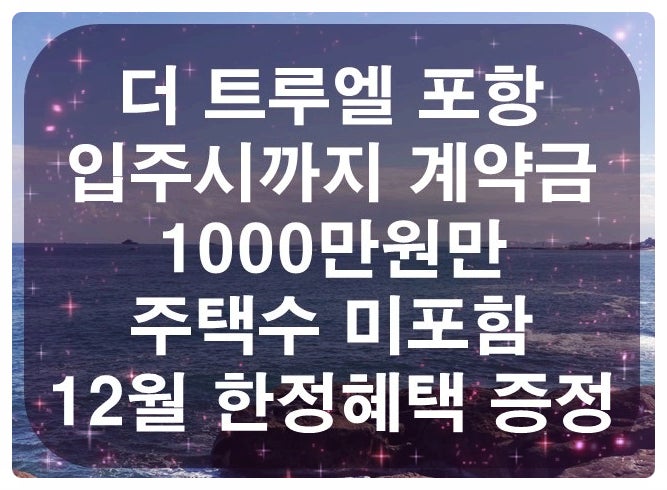  포항 더 트루엘 잔여세대 선착순