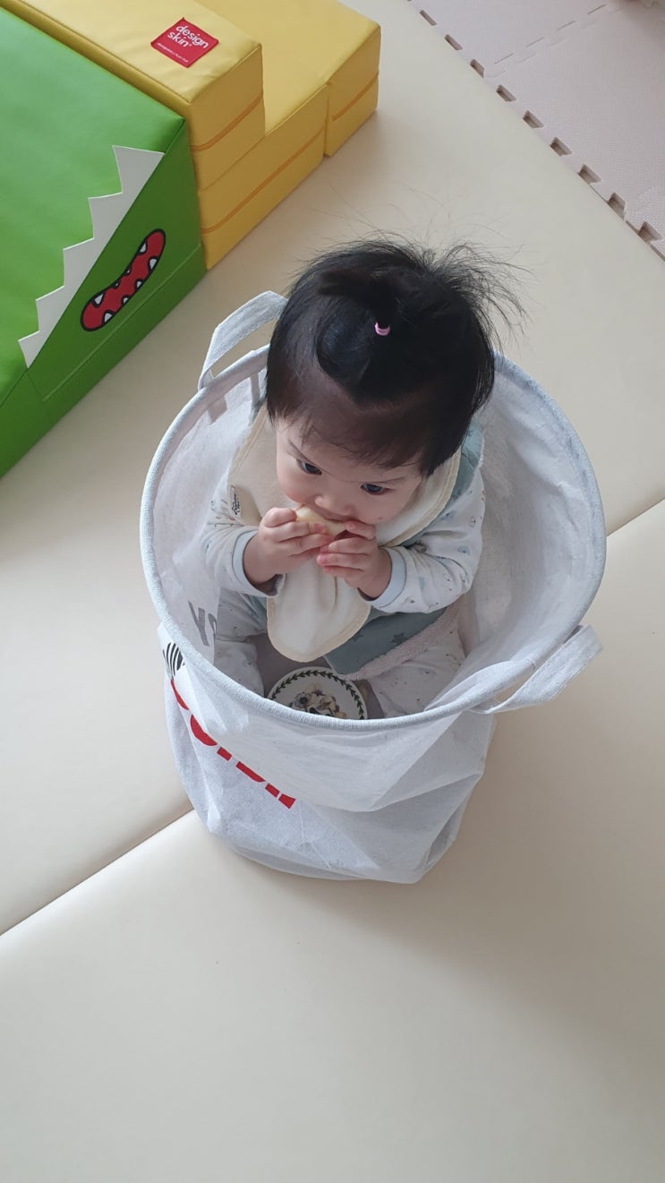  11개월 꼬북이의 일상