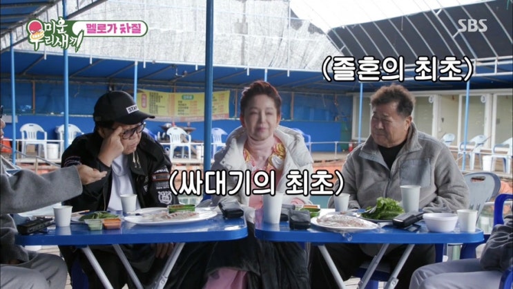 미우새 <b>이효춘 나이</b> 리즈 조영남 집 아파트 백일섭 멜로가차질편