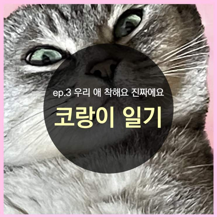 ep.3 우리애 착해요 진짜에요
