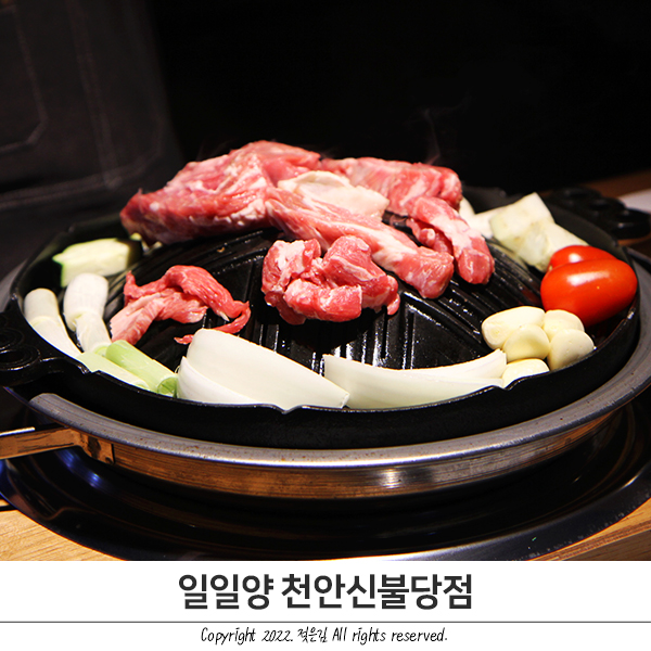 신불당 양갈비 끝내주는 일일양 천안신불당점 신불당 양갈비 끝내주는 일일양 천안신불당점