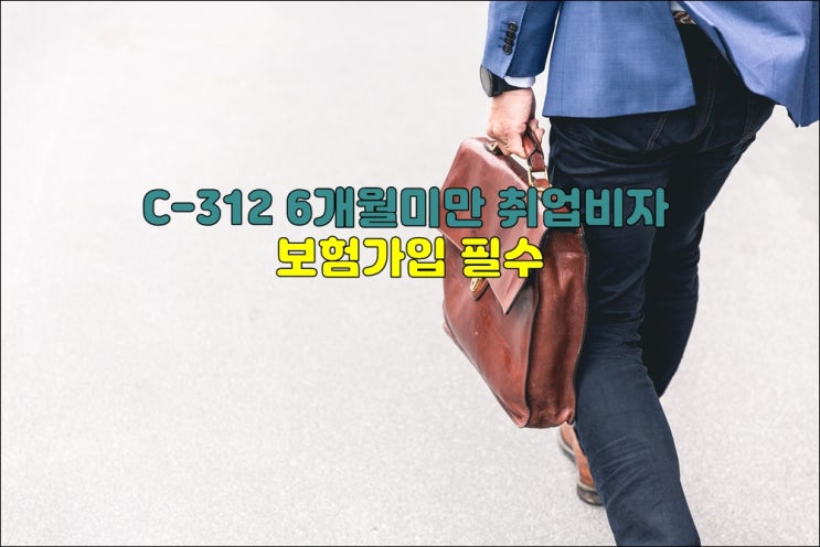  인도네시아 비자 c-312 취업비자 (6개월미만) 보험필수