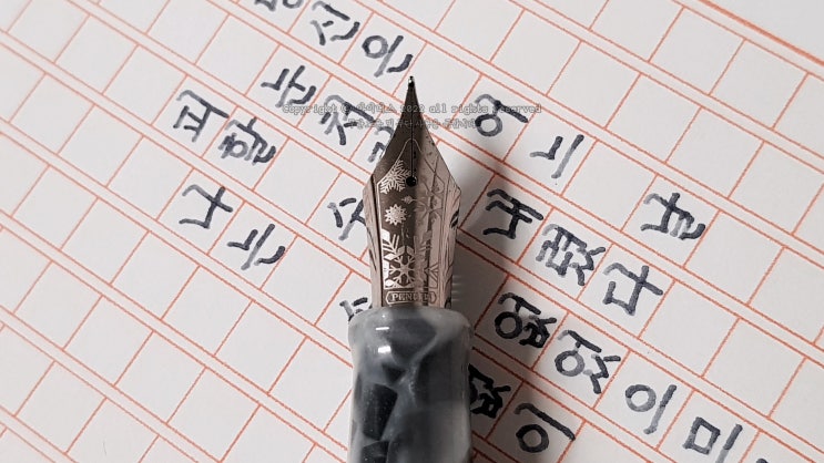  눈꽃 (ft. 펜브스 308 F닙 만년필)