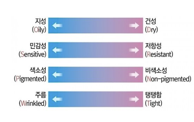  피부 MBTI, 바우만 피부타입 테스트