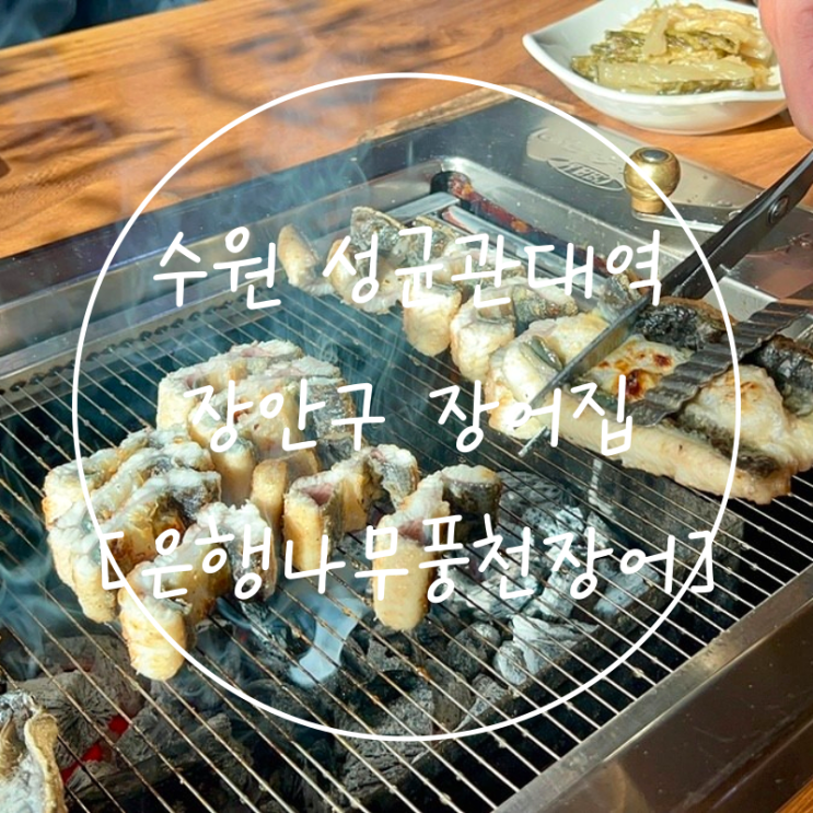 수원 성균관대역 맛집 장안구 장어요리 12년된 풍천민물장어