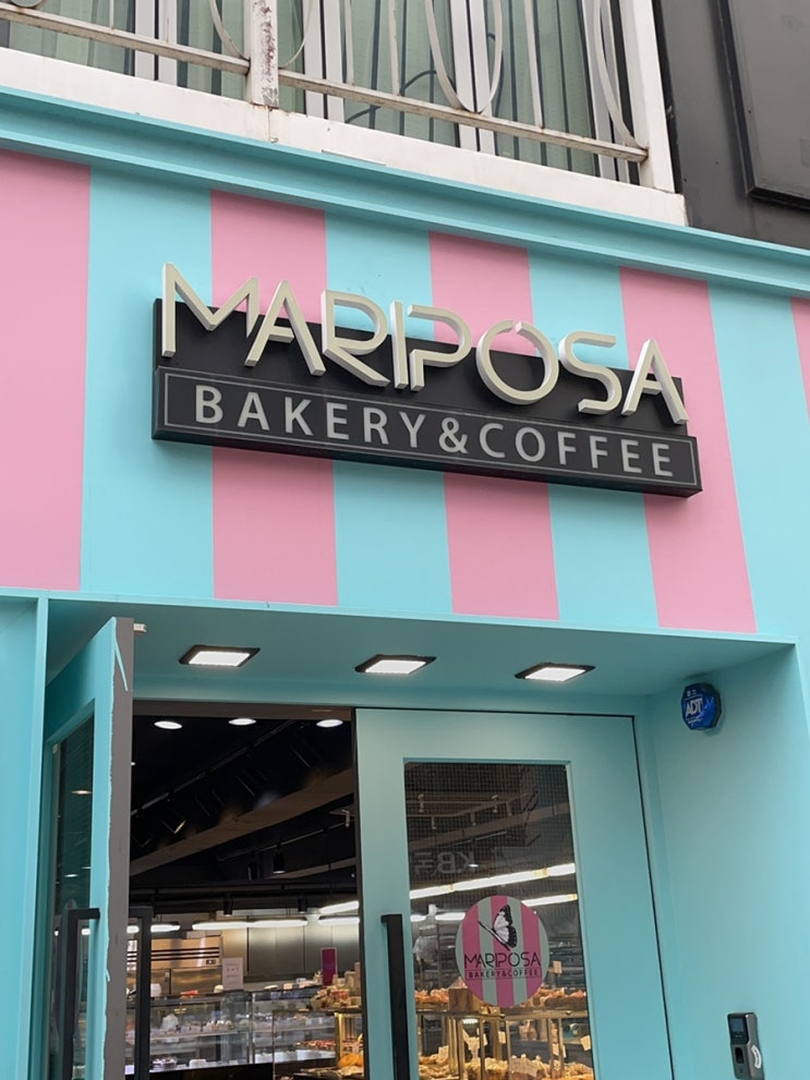 [대구카페] 베이커리 카페 마리포사 MARIPOSA/반월당빵집/동성로카페