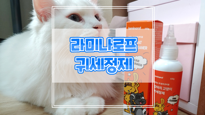  식물유래성분 라미나로프 고양이 귀세정제로 귀질환 예방해요