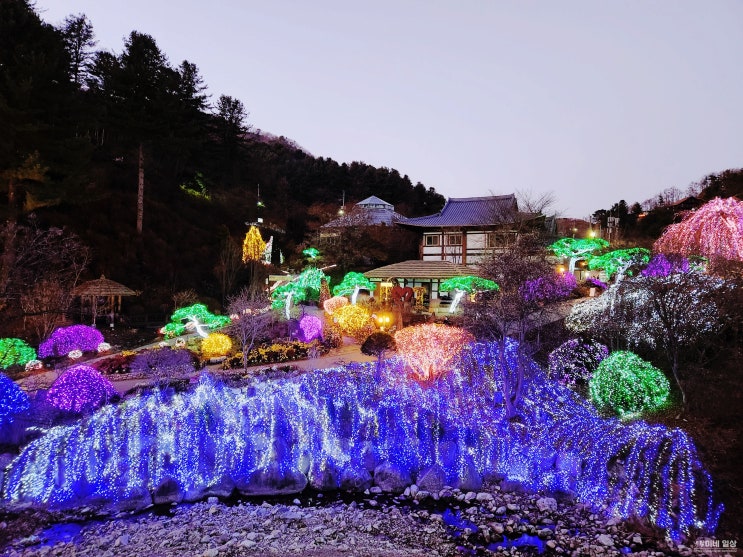 경기도 가평 환상적인 불빛축제 데이트코스 아침고요수목원