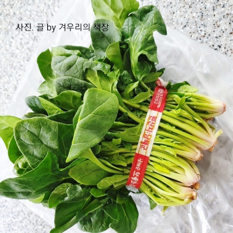 포항초 시금치 무치는 법. 시금치나물 맛있게 만드는 법 간단한 나물 무침