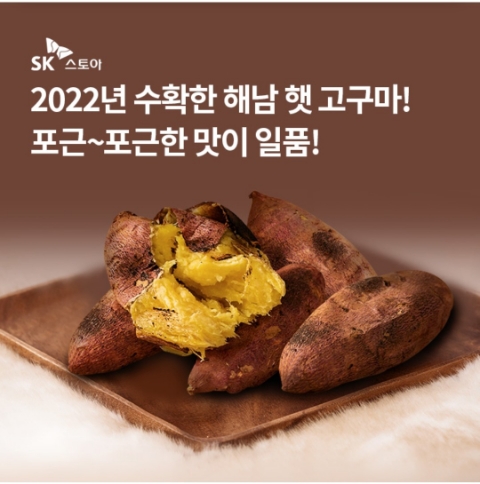  12월 8일 OK캐쉬백 오퀴즈 SK스토아 해남 햇고구마 정답