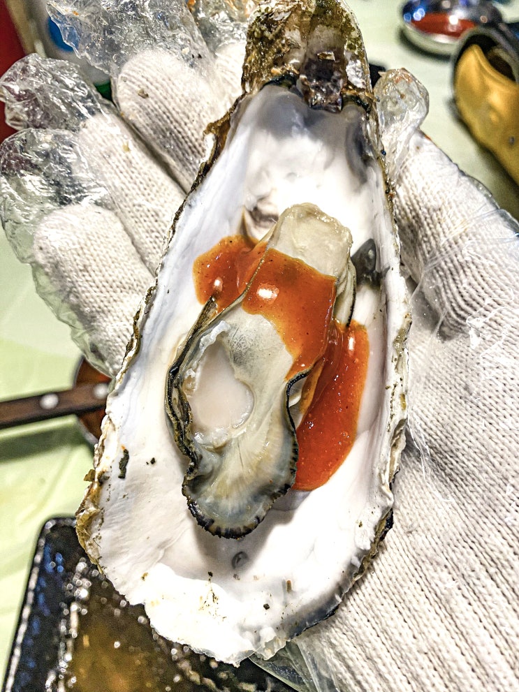  광주 화정동 굴찜무제한 맛집 :: 비오면전있는집