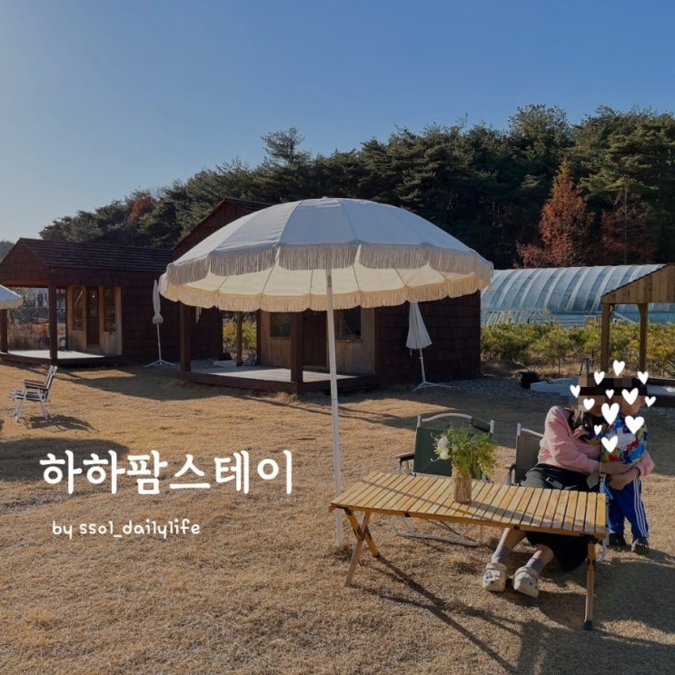  양양 아이와 가볼만한곳 '하하팜스테이'단독오두막에서 피크닉