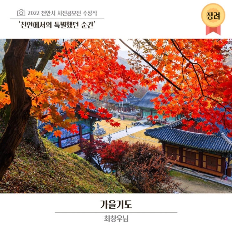 2022년 천안시 사진 공모전 수상작 | 천안시청페이스북