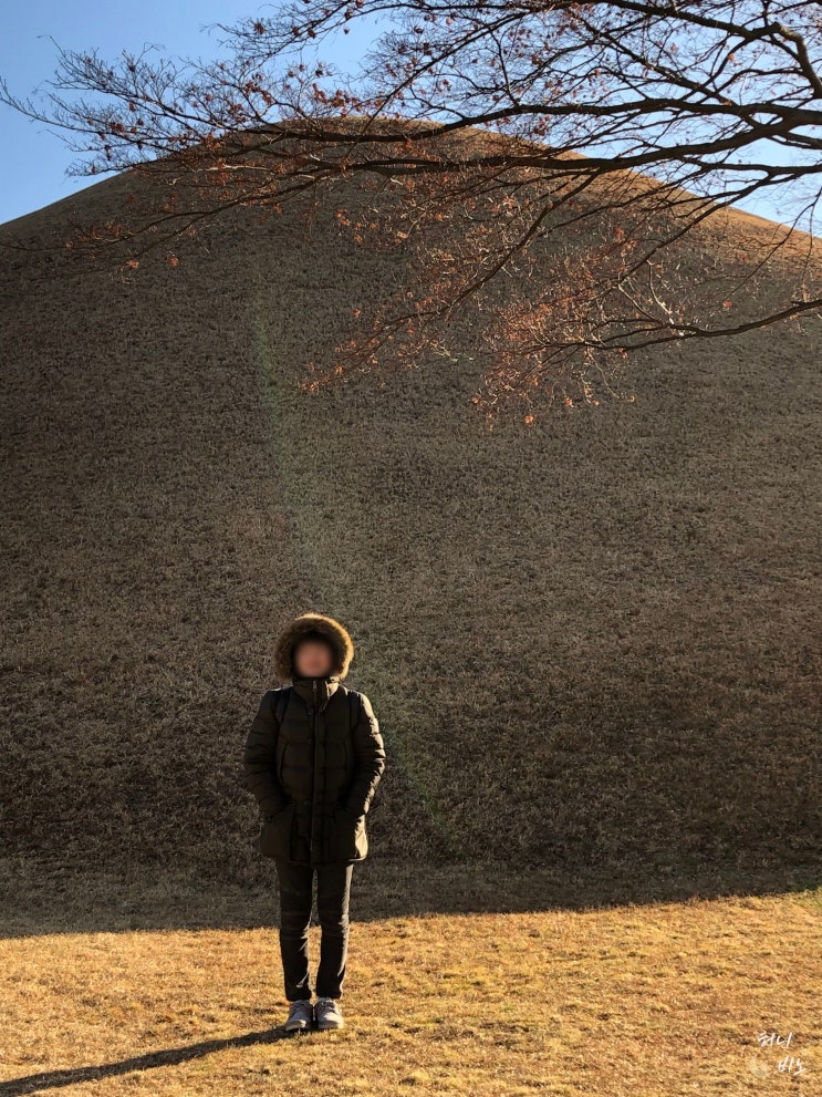 경주 여행지 대릉원 산책 입장료 주차