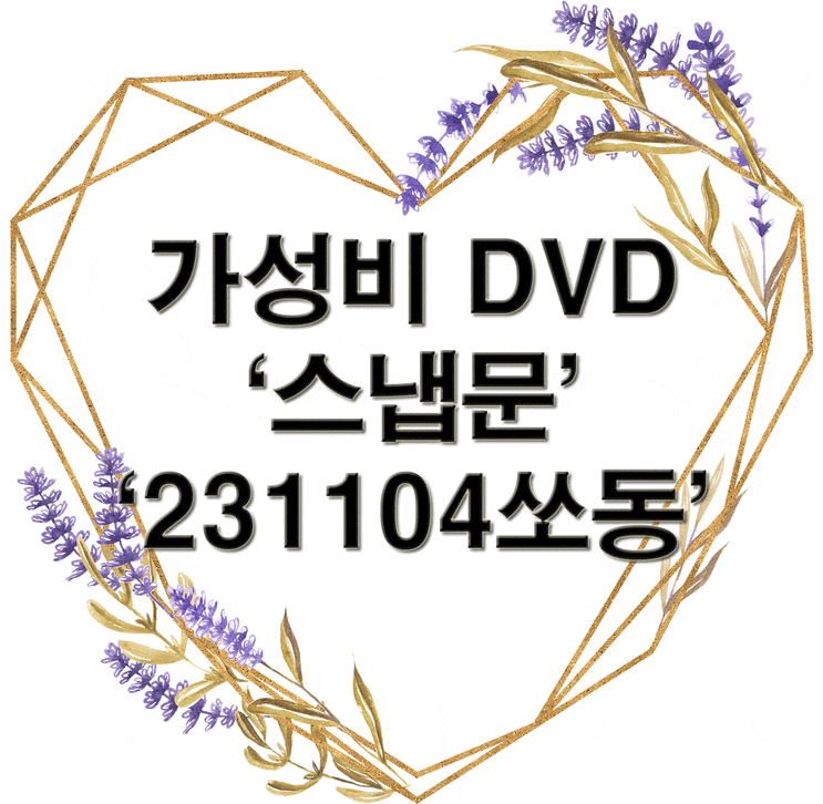  가성비 끝판왕 본식 DVD '스냅문' 계약후기 (짝꿍추가할인 + 캐쉬백 '231104쏘동' )