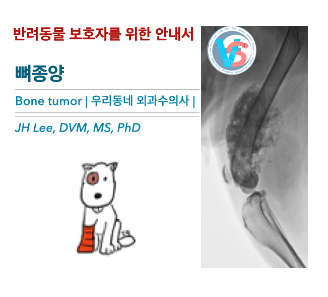  [동물병원안내서] 강아지/고양이 뼈종양  bone tumor - 반려동물 보호자를 위한 안내서(feat. 골육종 osteosarcoma)