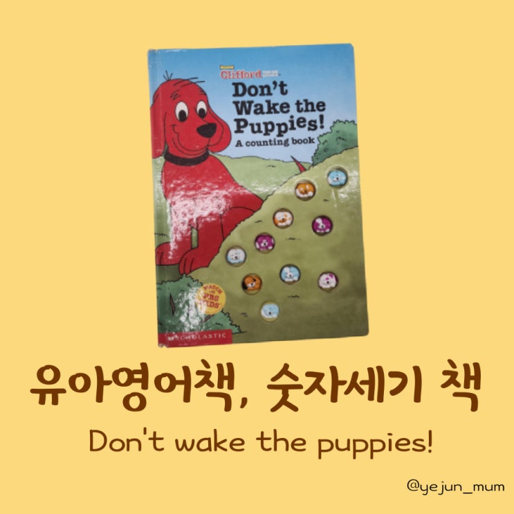  유아영어책, 숫자 세기 책 추천 Don't wake the puppies
