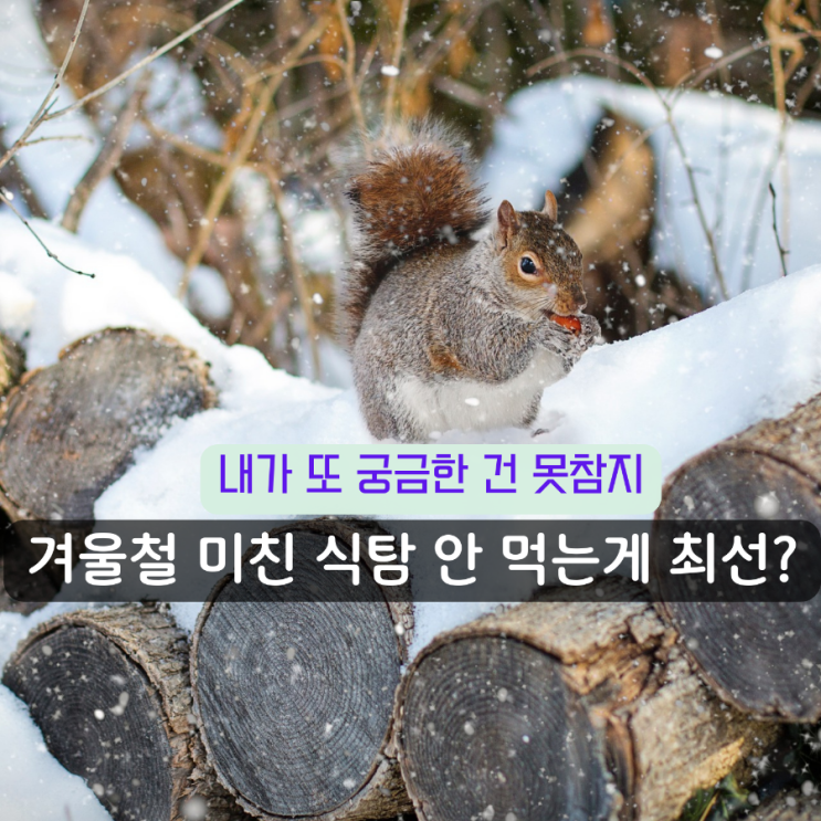  겨울철 식욕 대폭발 다이어트 없는 체중 관리 비결 best 3