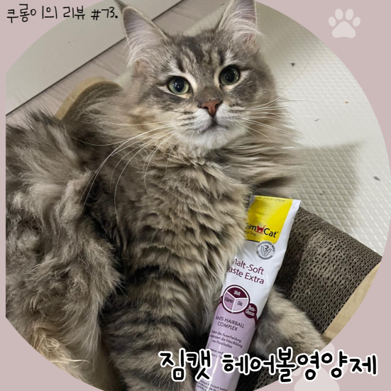 고양이 헤어볼토_짐캣 헤어볼영양제