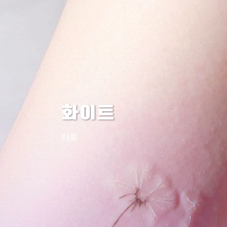 화이트타투 정보 및 타투후관리 화이트타투 정보 및 타투후관리
