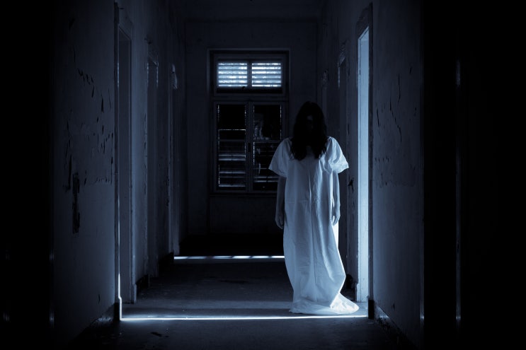  [뇌과학] 귀신과 유령, 우리는 무엇을 보는가?