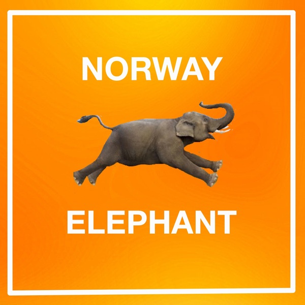 [c️이달의 아티스트] Norway Elephant