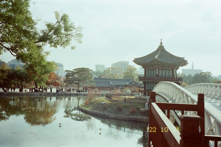  [필름카메라] 6번째 롤_FOTOCOLA CINEMA Film 250D/35mm