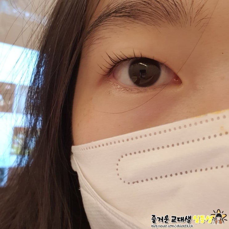  [강남 속눈썹펌] 메이지유 뷰티샵 :: 강남왁싱, 속눈썹, 메이크업까지 한번에!