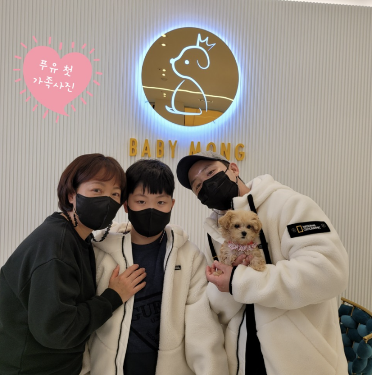  말티푸 율(푸유)아~ 하늘만큼 땅만큼 행복해야 해~!