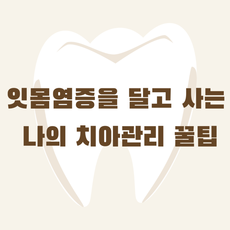 잇몸병자의 치아관리 꿀팁들(잇몸부었을때)