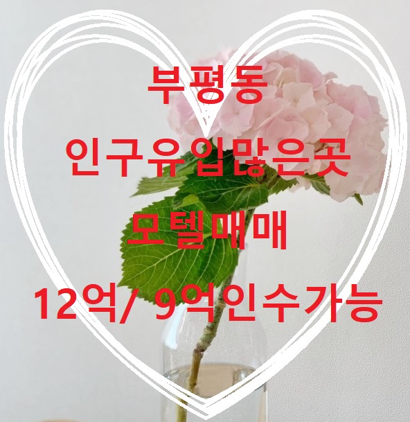  부평동 시장 골목 작은 모텔 매매 유동인구 많고 3방향 진입 가능