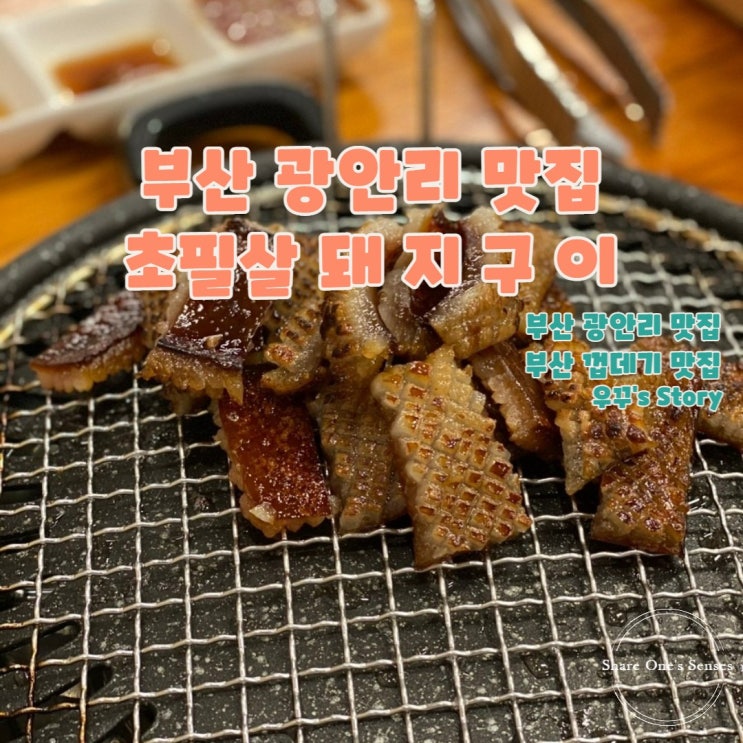  [부산/맛집] 부산 광안리 초필살 돼지구이!!