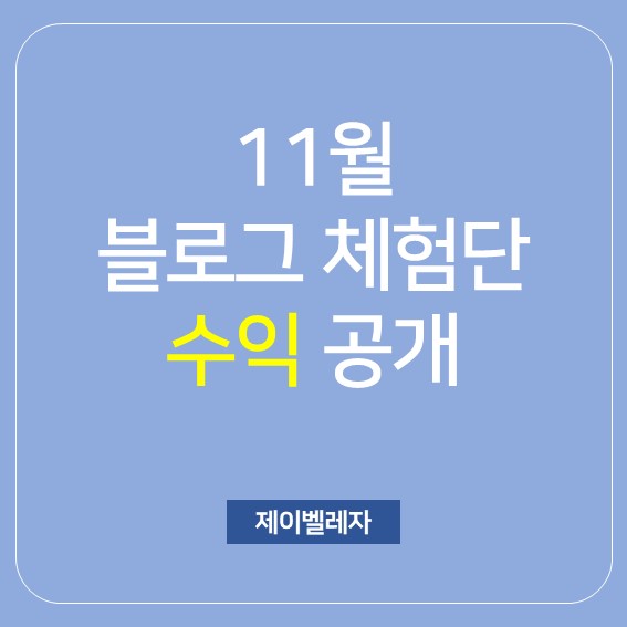 [블로그 수익화] 11월 블로그 체험단 수익공개