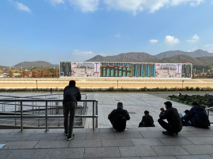  렛츠런파크 서울 경마 하는 법 알아보기! 마권 구매, 승식 작성방법 등 이모저모~