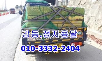  정자용달 강동 주전 남목 운송.
