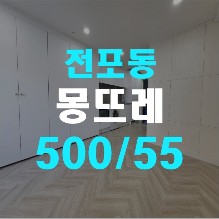 (서면 전포동오피스텔) 전포동 몽뜨레 올리모델링 원룸