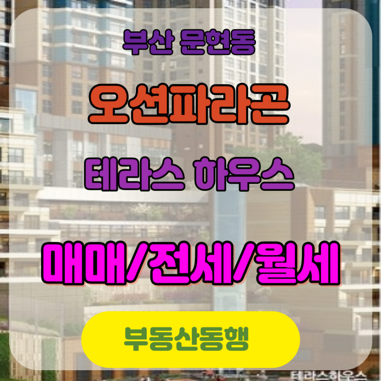  문현동 전세, 부동산 매매 / 오션파라곤 테라스동 드디어 오픈 되었어요!!