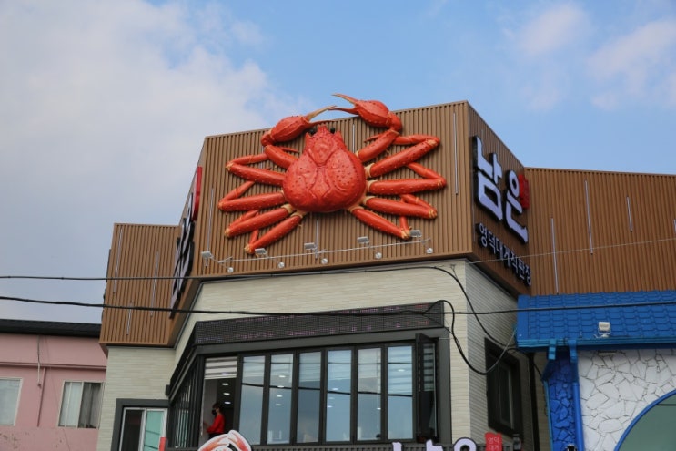  영덕 강구항 대게 저렴한 곳, 남은대게