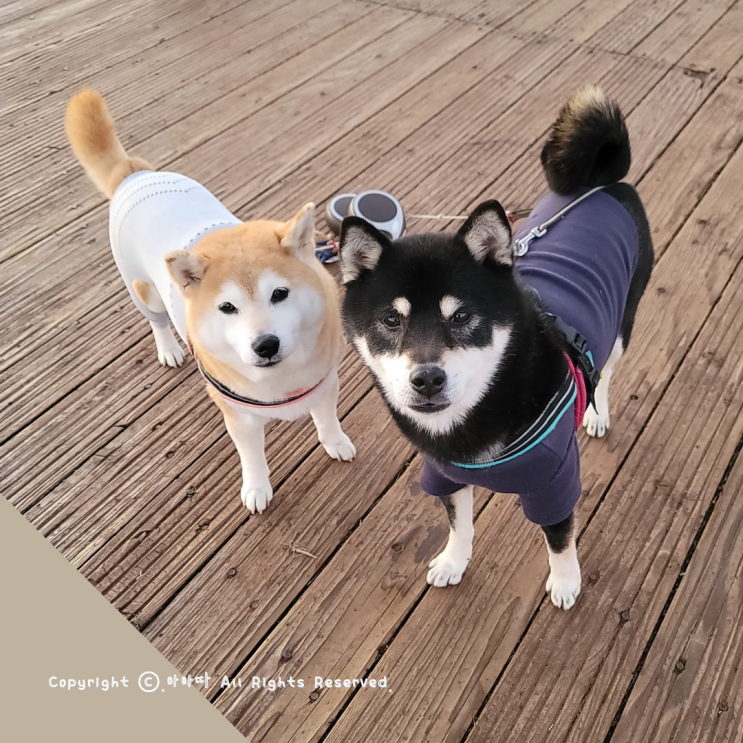  제주 열흘살기, 완도항까지 이동부터 시작