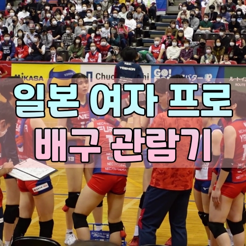[일본 생활] 일본 여자 프로 배구 시합을 보고 왔어요!소원성취포스팅!? / NEC Vs DENSO