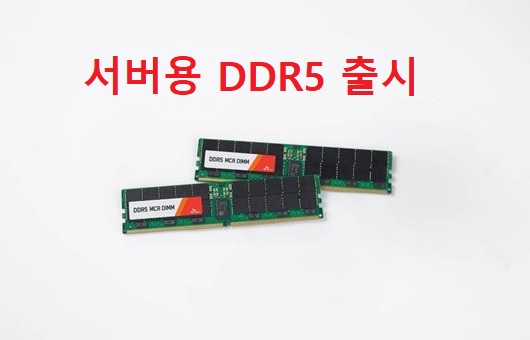 SK하이닉스 서버용 DDR5 출시[feat. 티엘비]