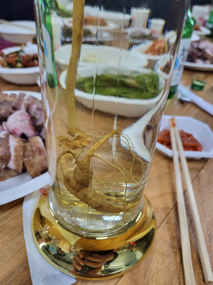 모모다육 사진 1