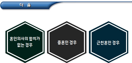 국제결혼 혼인의 해소(이혼, 혼인 취소 등) 국제결혼 혼인의 해소(이혼, 혼인 취소 등)
