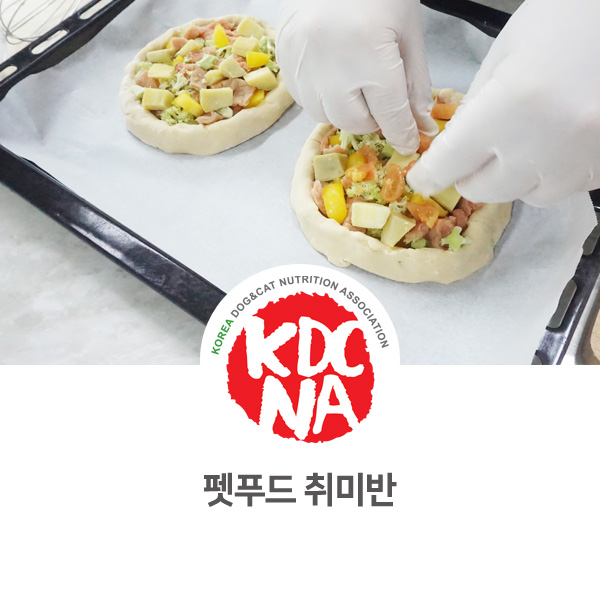  반려동물 위한 취미 펫푸드 만들기 [한국반려동물영양협회/박은정펫푸드아카데미/전주/대전/광주]